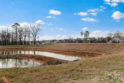 157 Pampas Place, Statesville, NC 28625 - Photo 35