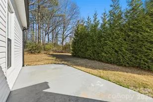 19705 Swiss Stone Ln, Cornelius, NC 28031 - Photo 37
