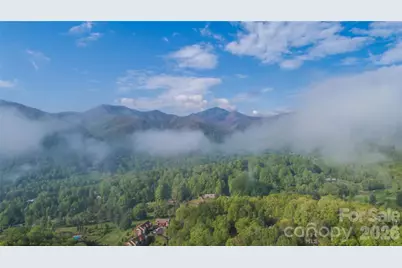 461 Ferguson Cove Loop, Clyde, NC 28721 - Photo 3