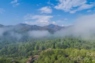 461 Ferguson Cove Loop, Clyde, NC 28721 - Photo 3