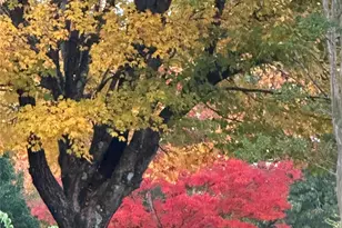 22 Stoney Nob Dr, Hendersonville, NC 28792 - Photo 41