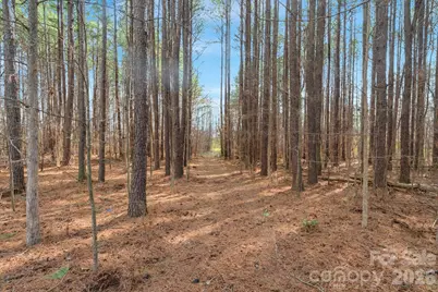 000 Horace Price Road, Pageland, SC 29728 - Photo 29