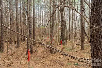 000 Horace Price Road, Pageland, SC 29728 - Photo 21