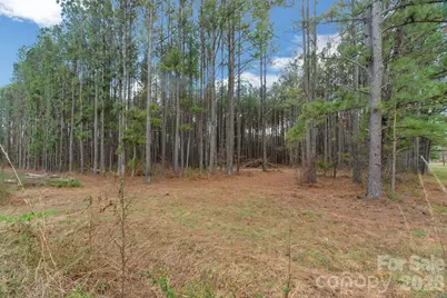 000 Horace Price Road, Pageland, SC 29728 - Photo 15
