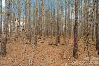 000 Horace Price Road, Pageland, SC 29728 - Photo 19