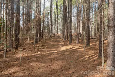 000 Horace Price Road, Pageland, SC 29728 - Photo 23