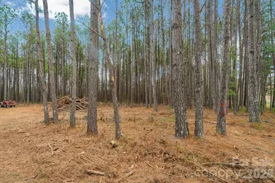 000 Horace Price Road, Pageland, SC 29728 - Photo 17