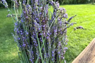 65 Owenby Rd, Candler, NC 28715 - Photo 15