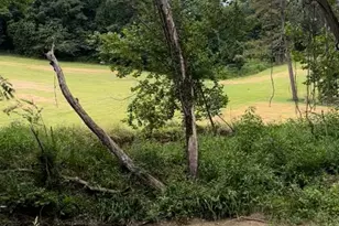 65 Owenby Rd, Candler, NC 28715 - Photo 47