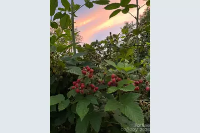 65 Owenby Road, Candler, NC 28715 - Photo 9