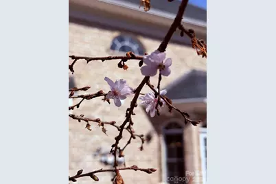 510 SE Stonecroft Court SE #32, Lenoir, NC 28645 - Photo 47