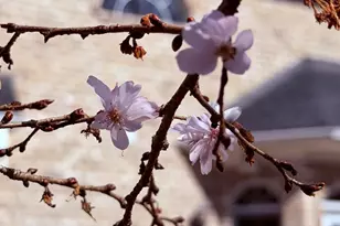 510 SE Stonecroft Ct SE, Lenoir, NC 28645 - Photo 47