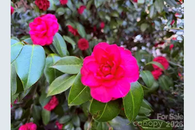 510 SE Stonecroft Court SE #32, Lenoir, NC 28645 - Photo 3