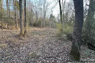 3306 Christie Rd, Hudson, NC 28638 - Photo 31