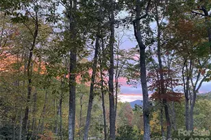 102 and 104 Carriage Dr, Fairview, NC 28730 - Photo 5