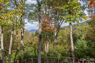 102 and 104 Carriage Dr, Fairview, NC 28730 - Photo 31