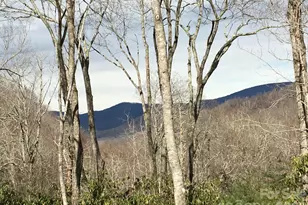 102 and 104 Carriage Dr, Fairview, NC 28730 - Photo 37