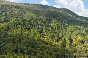 102 and 104 Carriage Dr, Fairview, NC 28730 - Photo 33