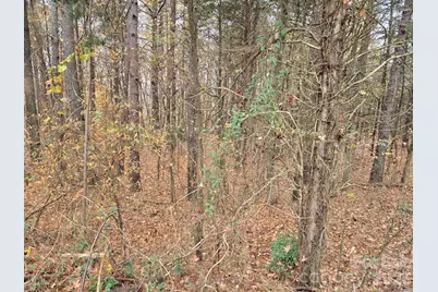 1718 Measmer Street, Kannapolis, NC 28081 - Photo 35