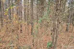 1718 Measmer St, Kannapolis, NC 28081 - Photo 35