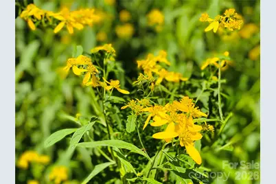 3301 State Highway 197 None N, Burnsville, NC 28714 - Photo 7