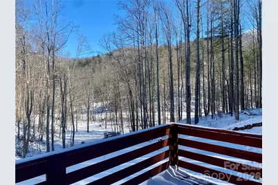 3301 State Highway 197 None N, Burnsville, NC 28714 - Photo 41