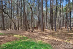115 Pine Cliff Ln, Mooresville, NC 28117 - Photo 29
