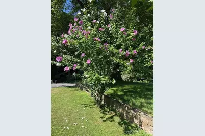 100 Chapel Road, Black Mountain, NC 28711 - Photo 29