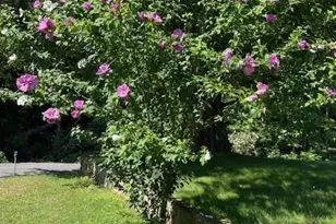 100 Chapel Rd, Black Mountain, NC 28711 - Photo 29