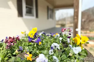 2742 Hwy 268 Hwy, Lenoir, NC 28645 - Photo 3