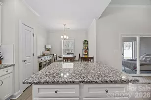 181 Brixham Loop, Troutman, NC 28166 - Photo 9