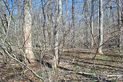 0 Cross Creek Drive #143, Rutherfordton, NC 28139 - Photo 3