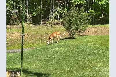 542 Allen Mountain Lane, Spruce Pine, NC 28777 - Photo 45