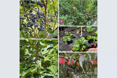 10840 Cove Point Drive, Charlotte, NC 28278 - Photo 37