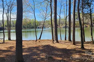 10840 Cove Point Drive, Charlotte, NC 28278 - Photo 41