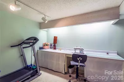 356 Pleasant Hill Drive, Brevard, NC 28712 - Photo 31