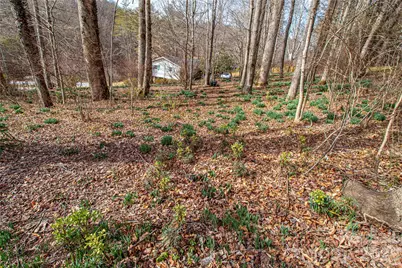 356 Pleasant Hill Drive, Brevard, NC 28712 - Photo 37