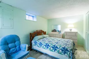 356 Pleasant Hill Dr, Brevard, NC 28712 - Photo 29