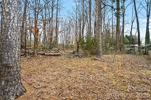 2915 Old Stage Rd, Gastonia, NC 28052 - Photo 41