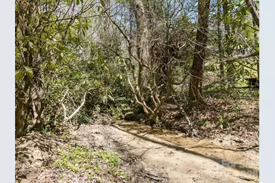 1 Laurel Forest Drive, Horse Shoe, NC 28742 - Photo 35