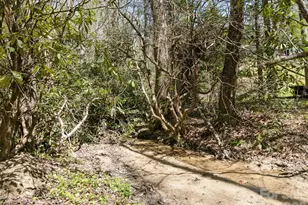 1 Laurel Forest Dr, Horse Shoe, NC 28742 - Photo 35