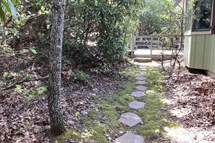 31 Rhododendron Road, Black Mountain, NC 28711 - Photo 25