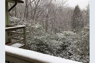 31 Rhododendron Road, Black Mountain, NC 28711 - Photo 15