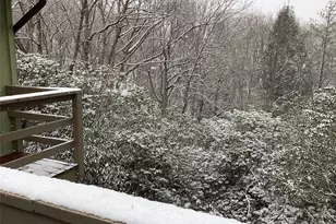 31 Rhododendron Road, Black Mountain, NC 28711 - Photo 15