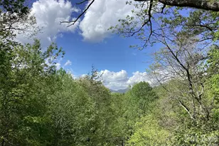 31 Rhododendron Road, Black Mountain, NC 28711 - Photo 5