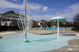 4029 Spring Garden St, Fort Mill, SC 29715 - Photo 43