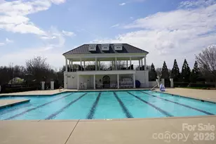 4029 Spring Garden St, Fort Mill, SC 29715 - Photo 39