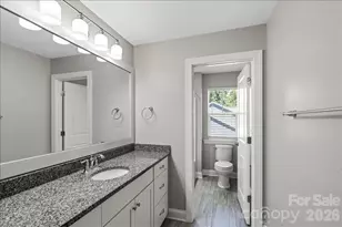 4243 Island Fox Ln, Denver, NC 28037 - Photo 29