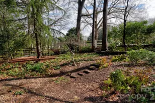 8509 Waters Point Ct, Charlotte, NC 28277 - Photo 37