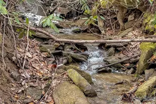 122 Vinewood Dr, Waynesville, NC 28786 - Photo 45